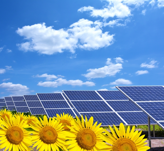 野立て高圧 太陽光工事（中国地方）